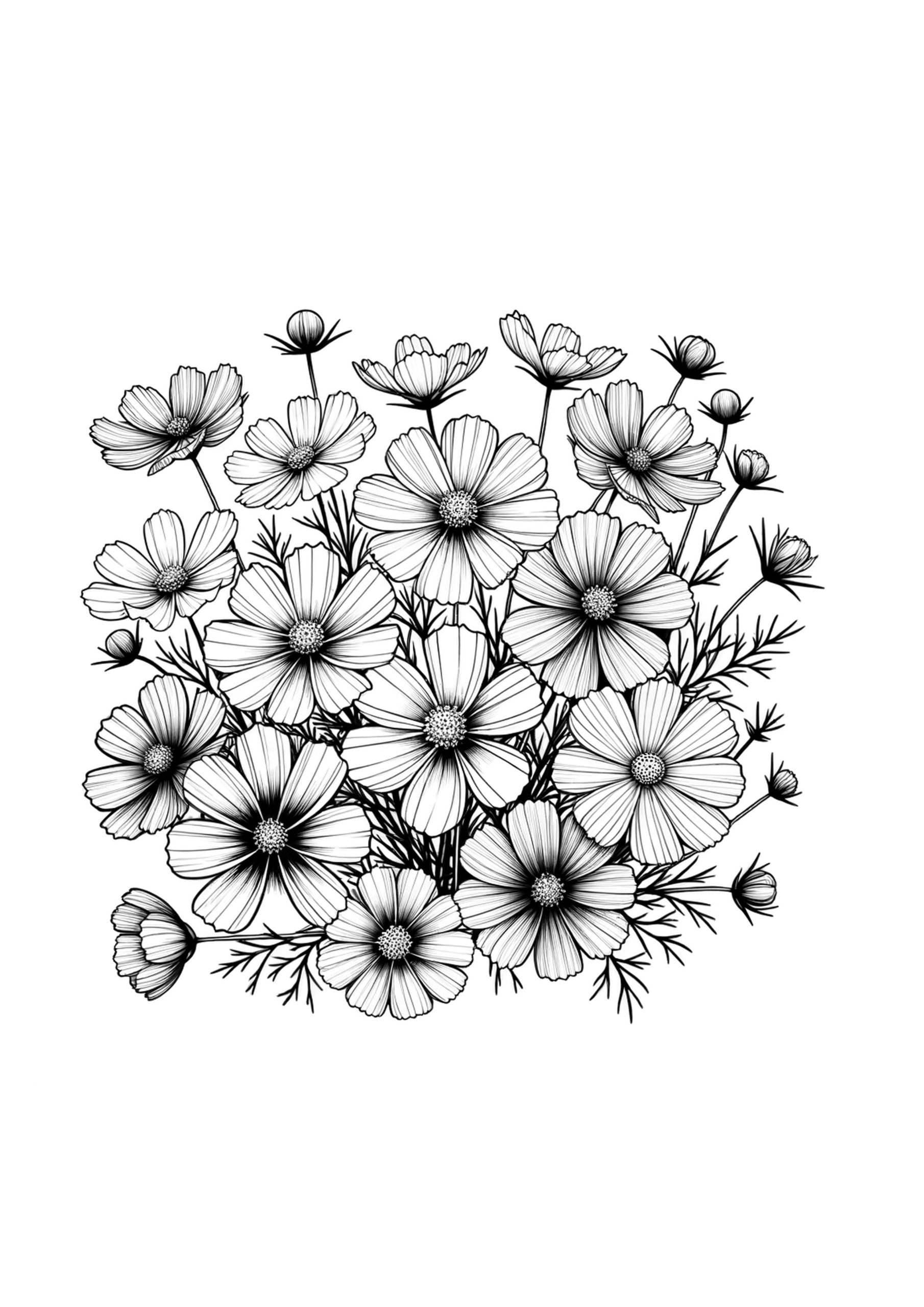 コスモスの塗り絵