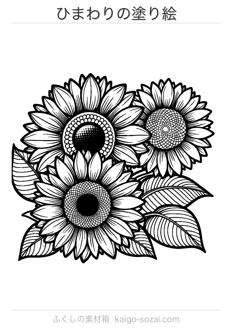 ひまわりの塗り絵 無料印刷