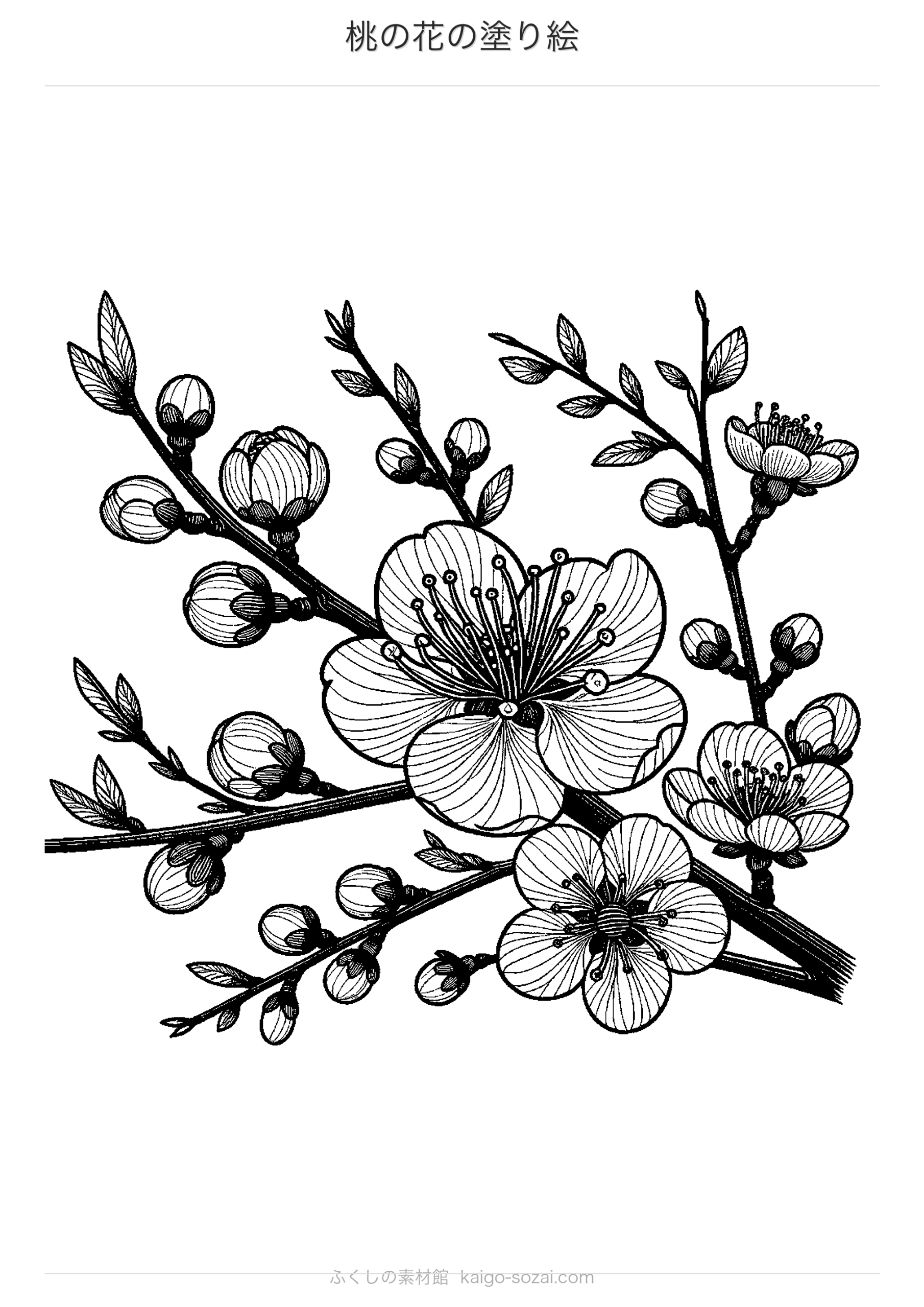 桃の花の塗り絵