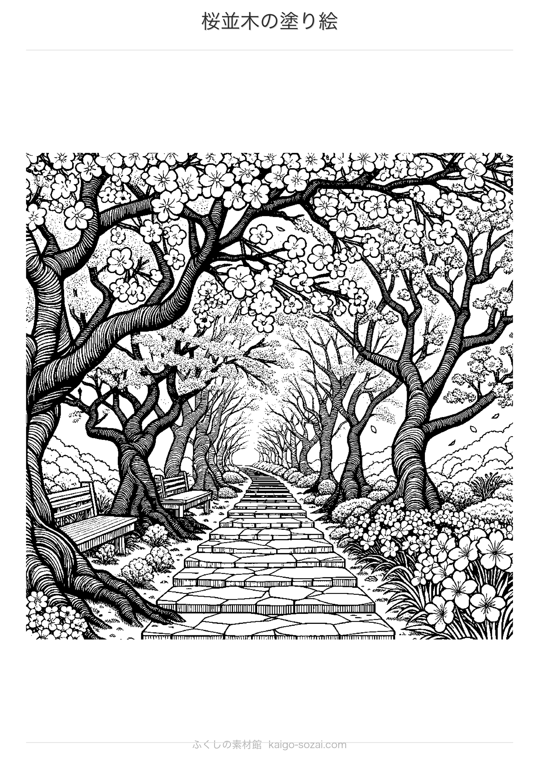 桜並木の塗り絵