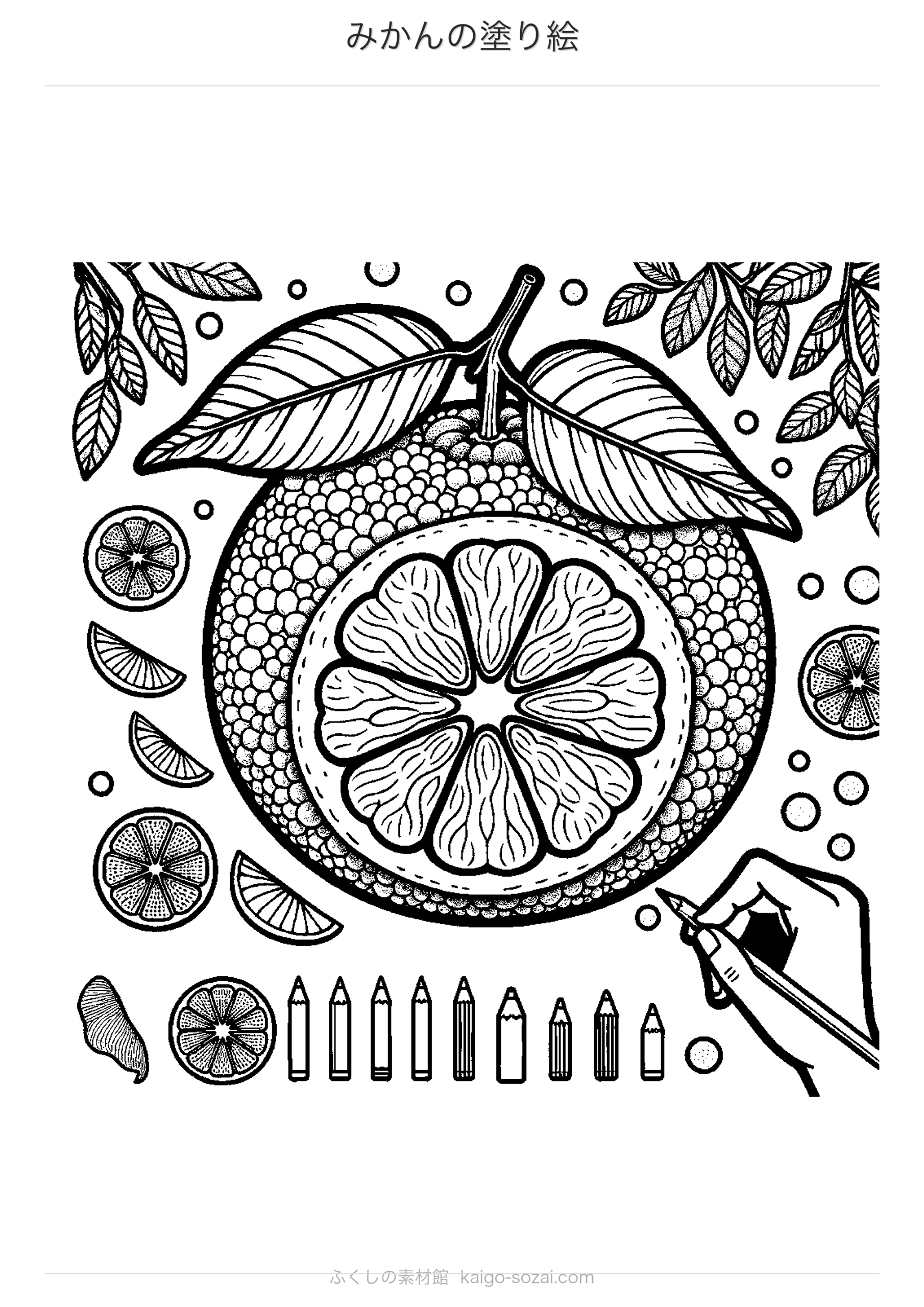 みかんの塗り絵