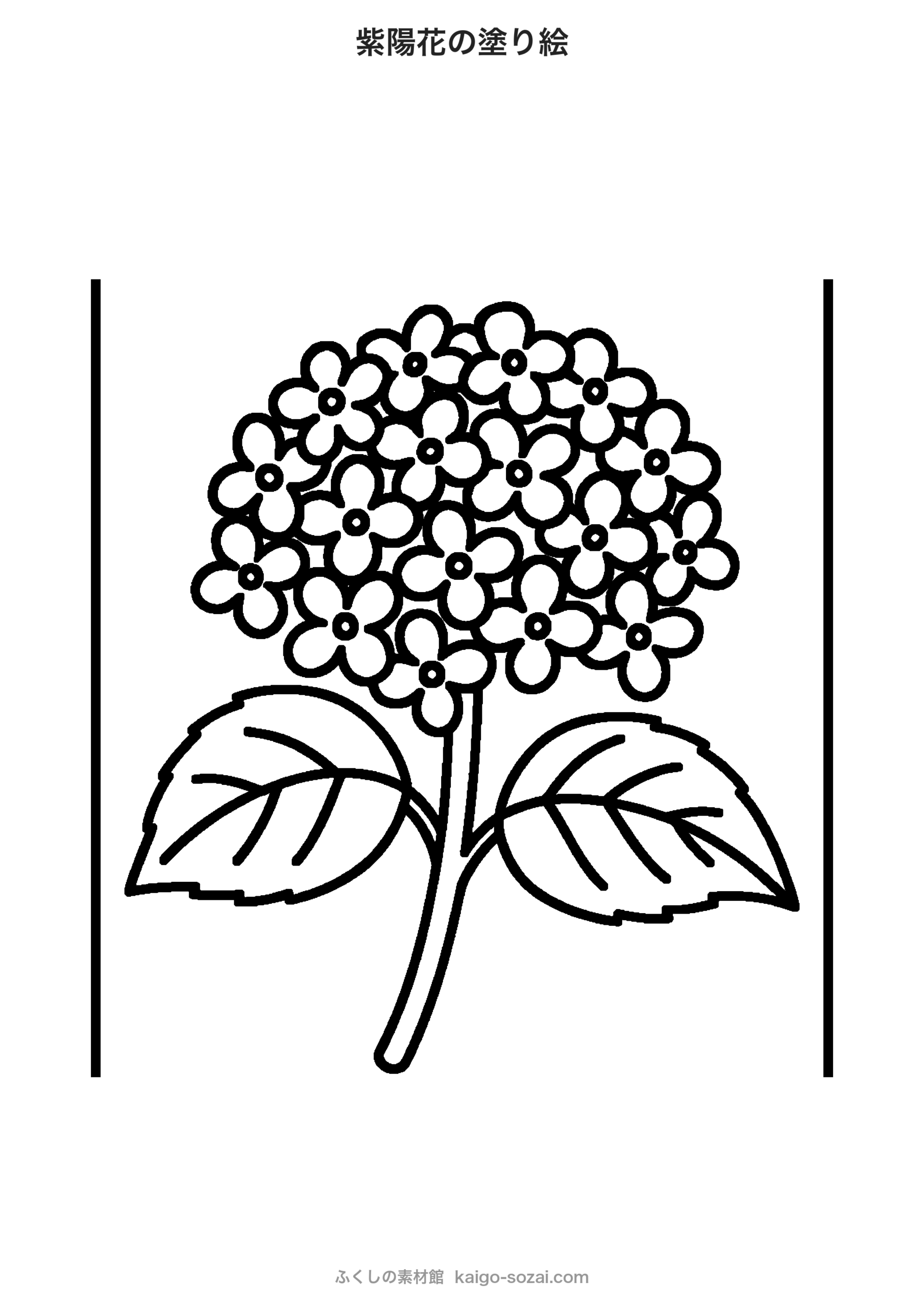 紫陽花の塗り絵