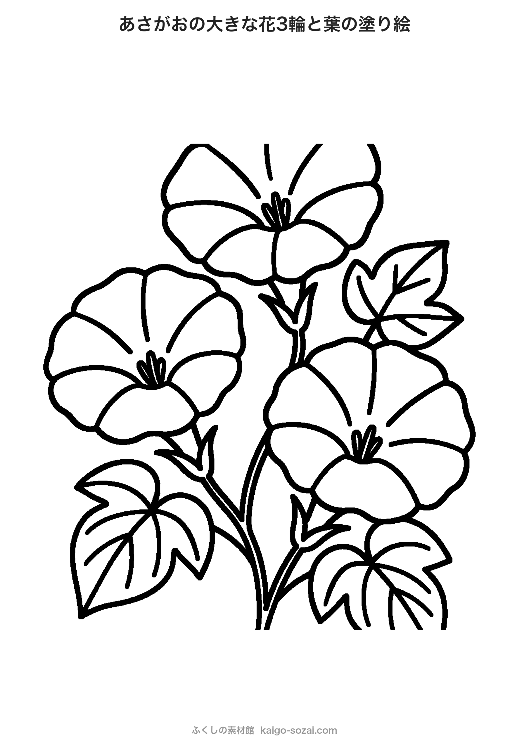 あさがおの塗り絵