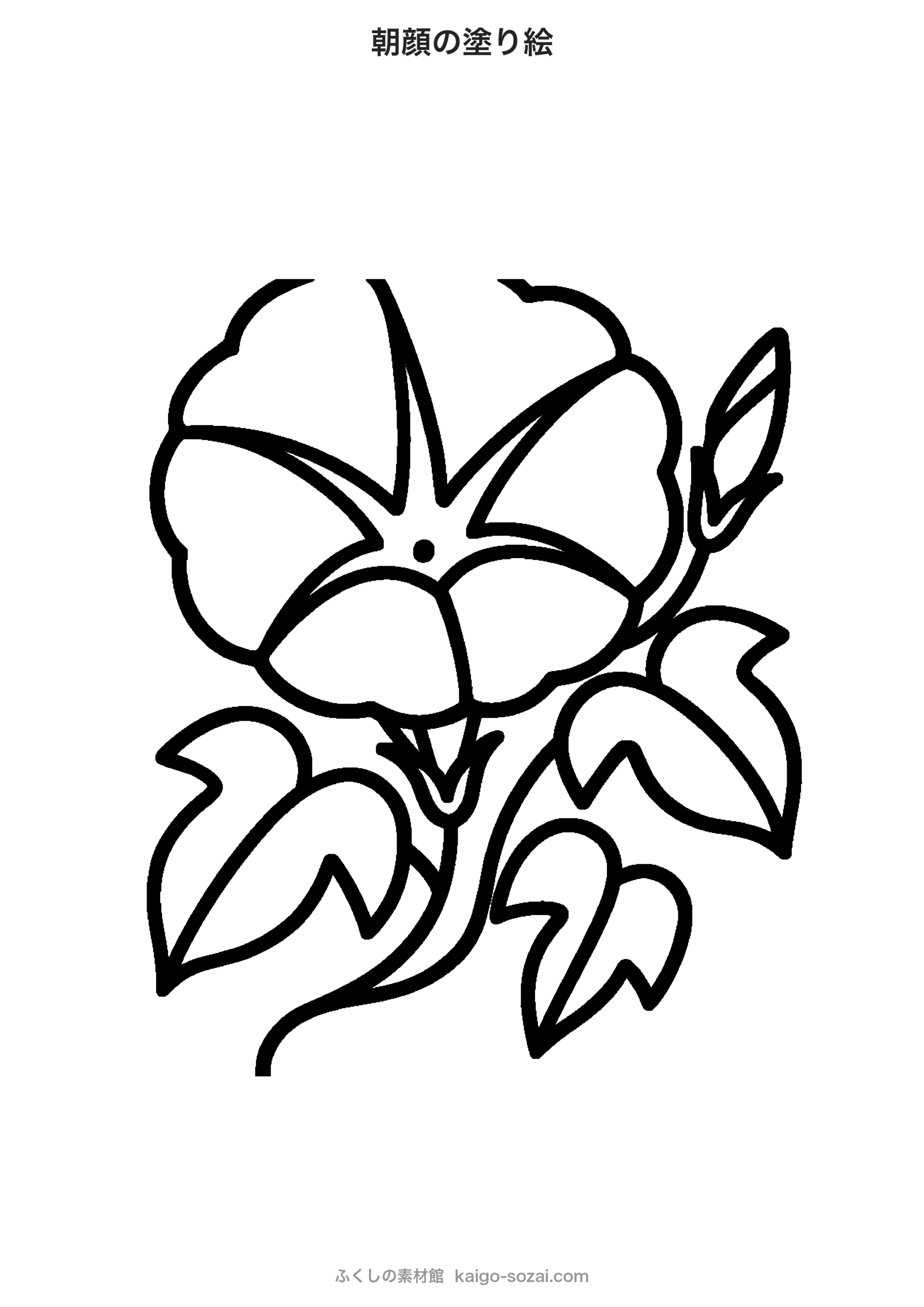 朝顔の塗り絵