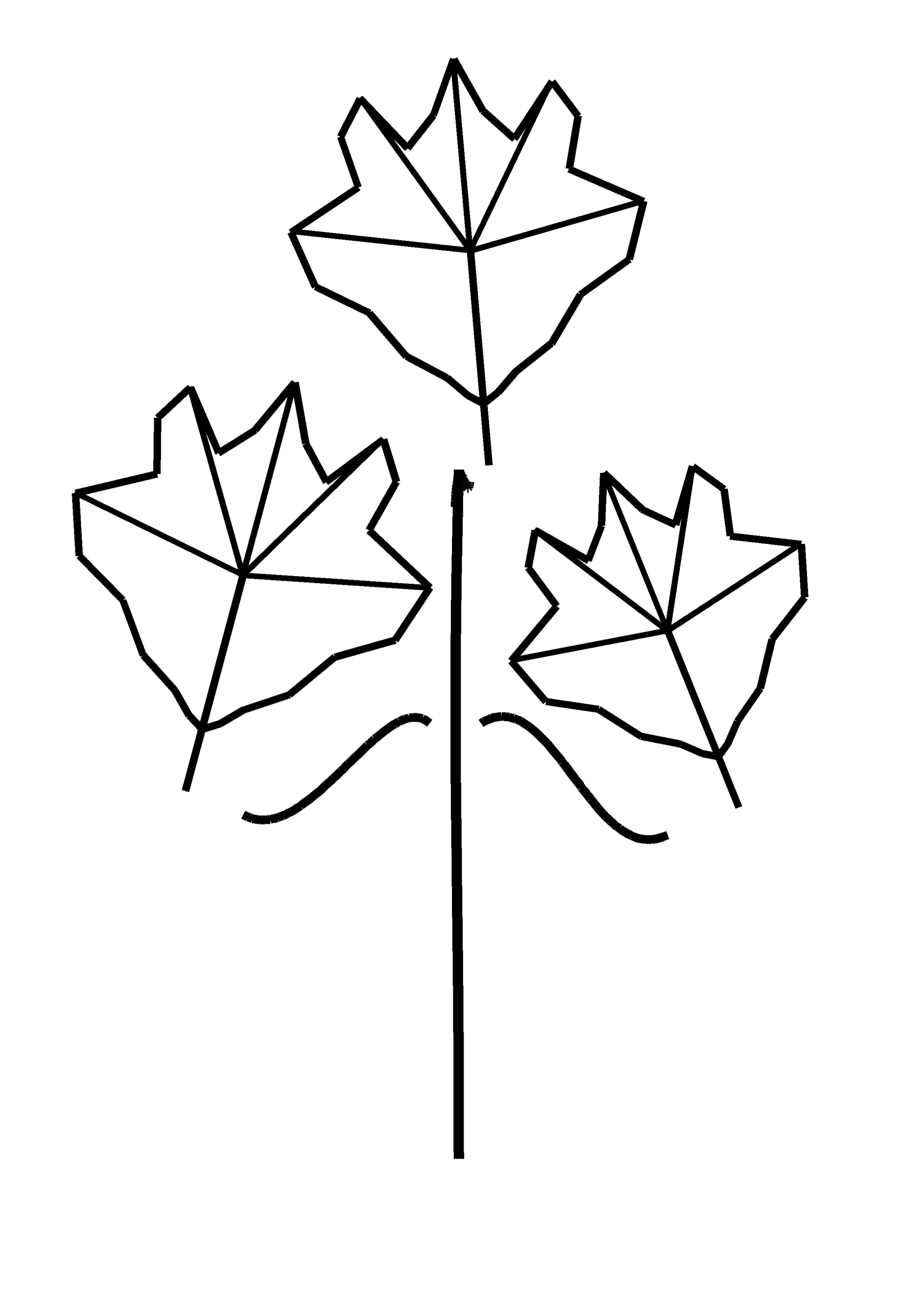 紅葉（もみじ）の塗り絵【無料・A4印刷OK】秋の介護レク・デイサービスに