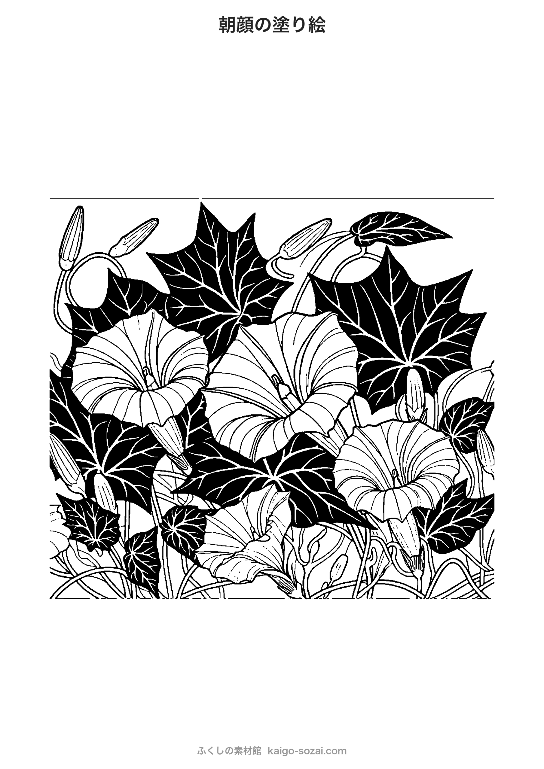 朝顔（あさがお）の塗り絵