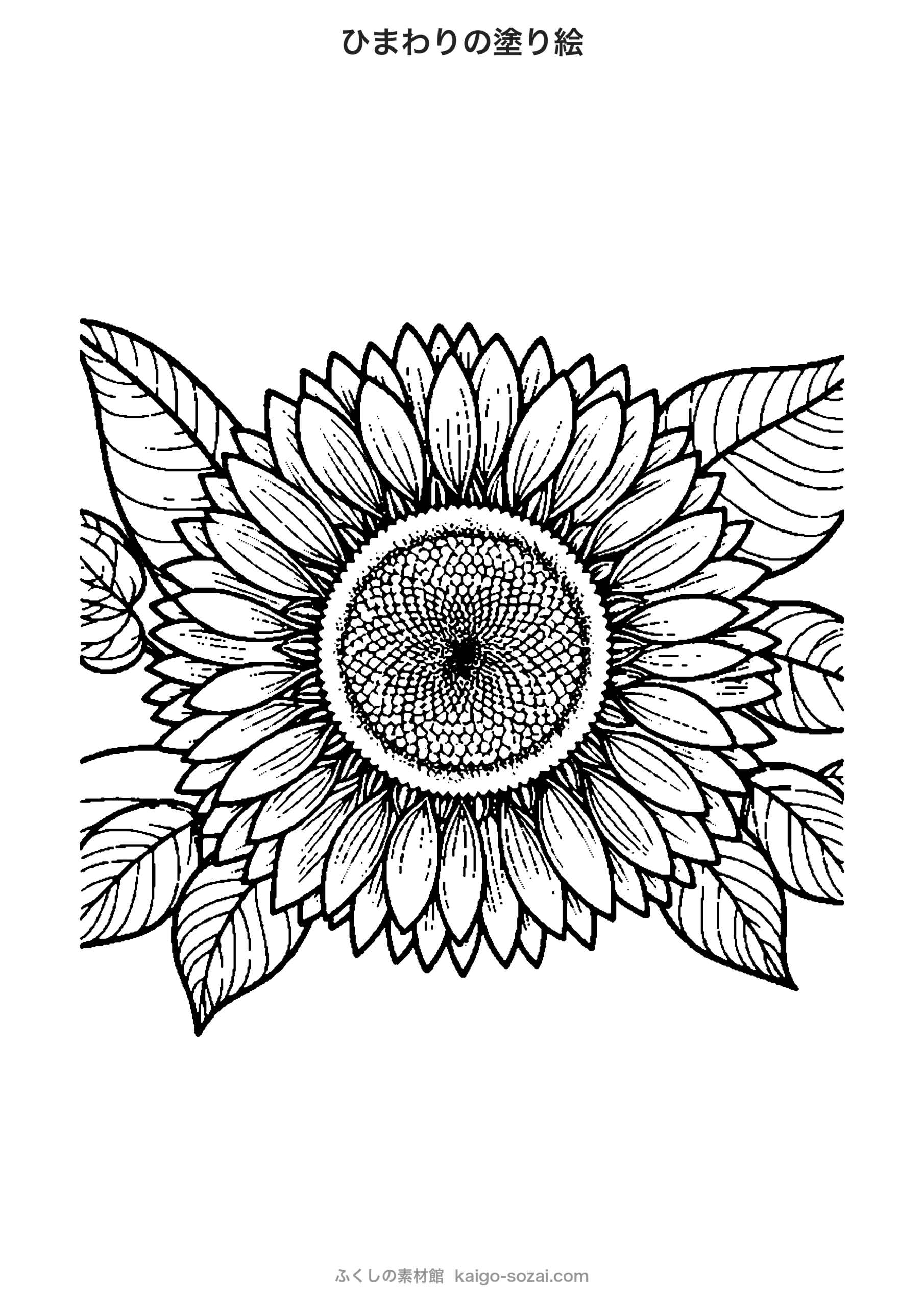 ひまわりの塗り絵