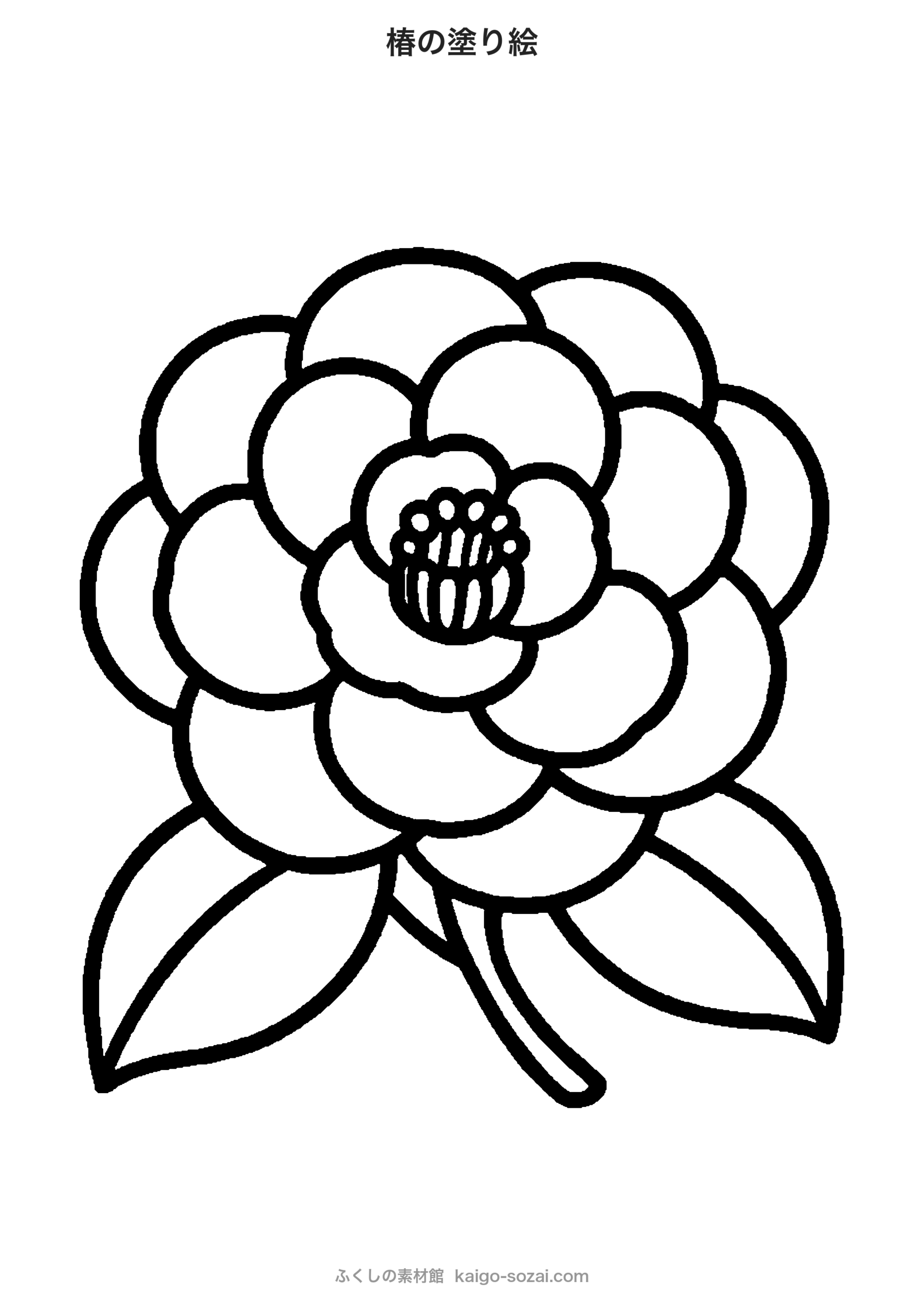 椿の塗り絵