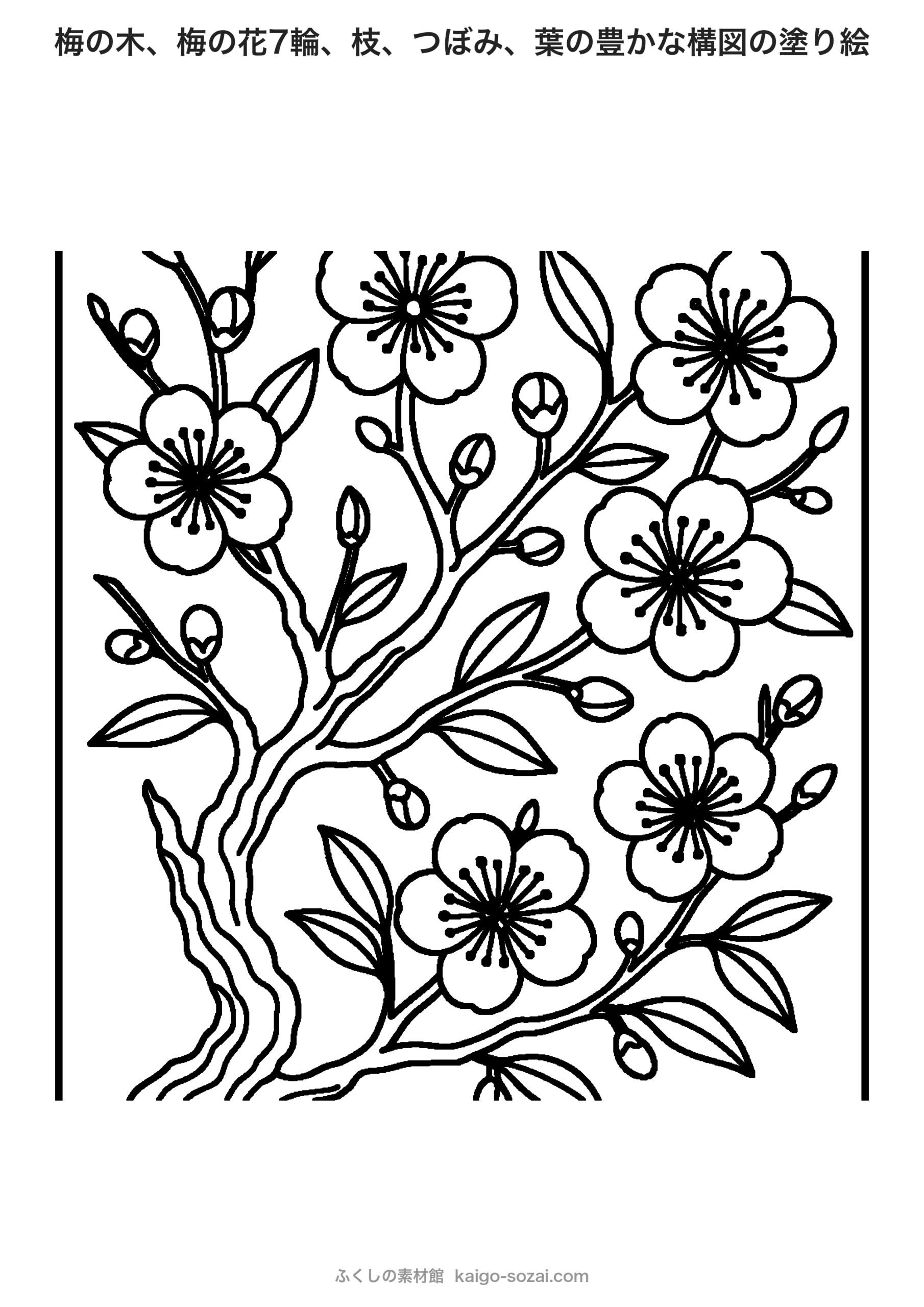 梅の塗り絵 A4サイズ無料ダウンロード
