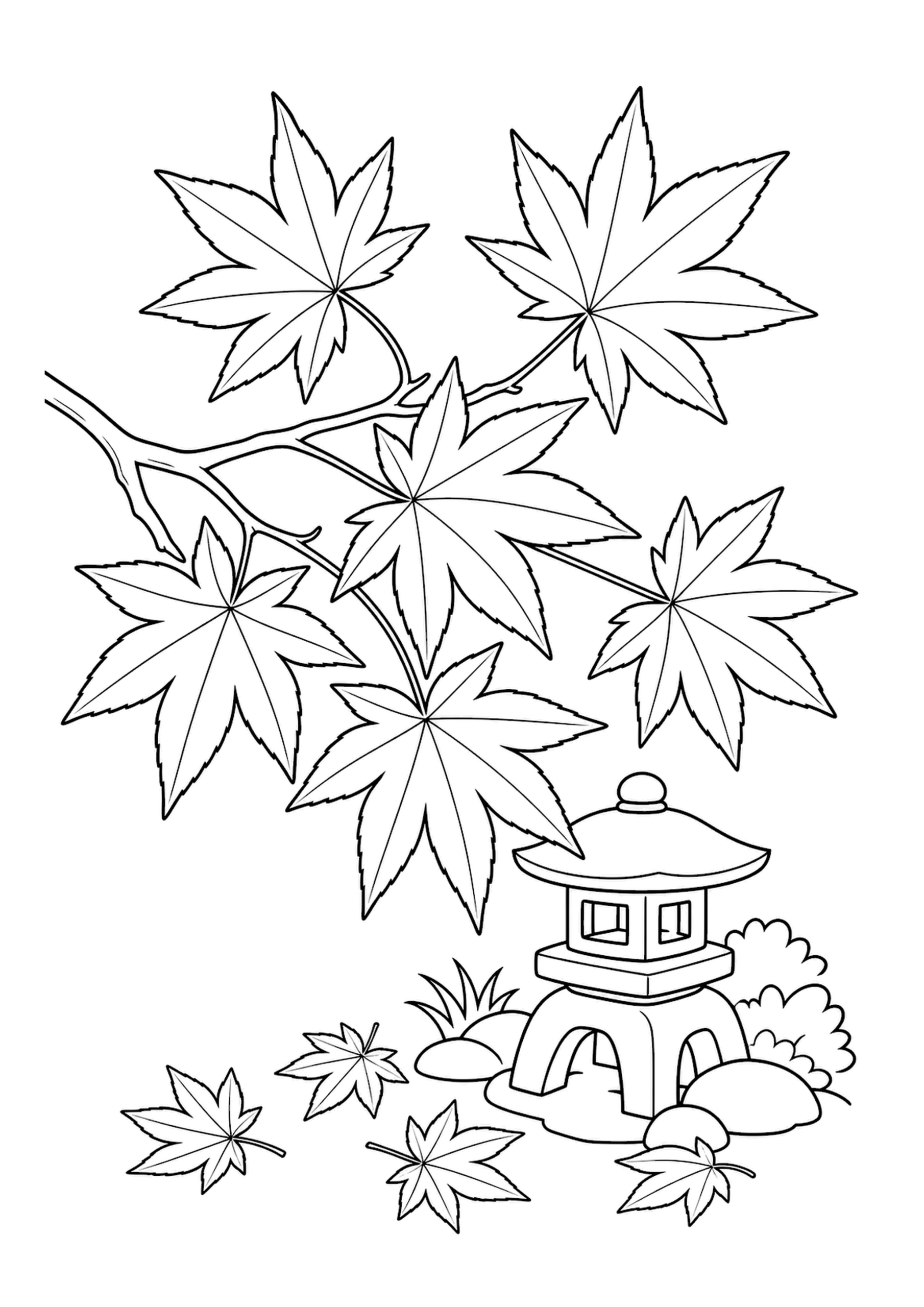 紅葉(もみじ)の塗り絵